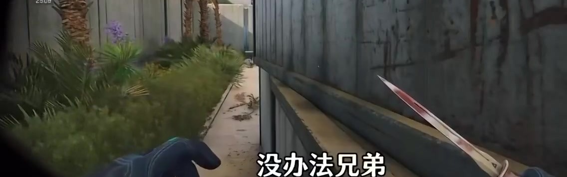 DB视讯官方登录入口Lwx：那边求着我打老头杯，我心一向很软，没办法打着玩呗